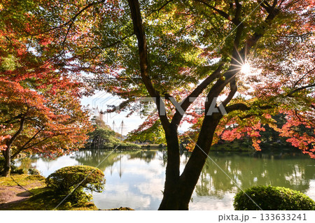 紅葉が美しい晩秋の兼六園 紅葉が美しい晩秋の兼六園 133633241