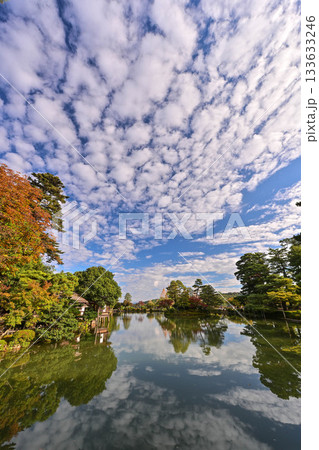 紅葉が美しい晩秋の兼六園 133633246