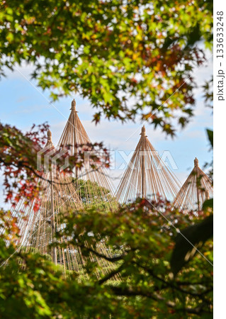 紅葉が美しい晩秋の兼六園 133633248