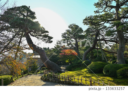 紅葉が美しい晩秋の兼六園 133633257