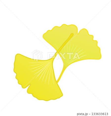 黄色く色づいた銀杏の葉っぱイラスト 133633613