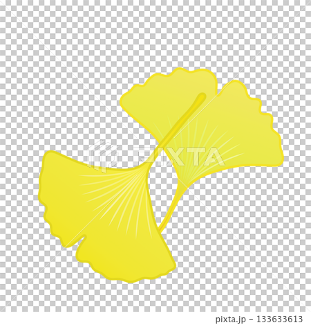 黄色く色づいた銀杏の葉っぱイラスト 133633613