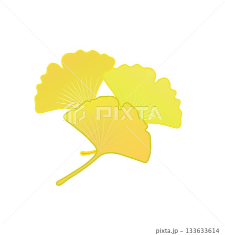 黄色く色づいた銀杏の葉っぱイラスト 133633614