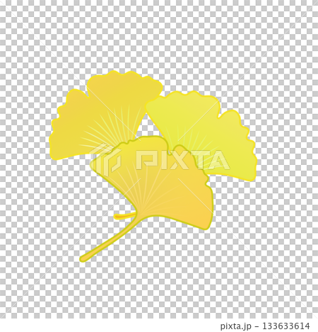 Yellow ginkgo leaf illustration 133633614