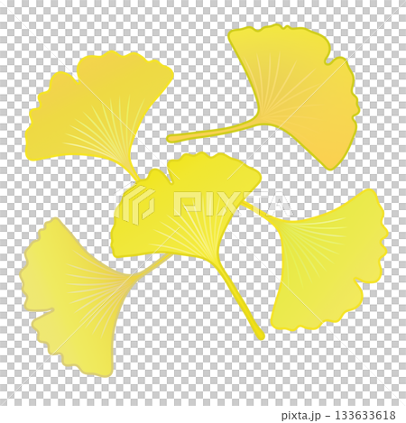 Yellow ginkgo leaf illustration 133633618