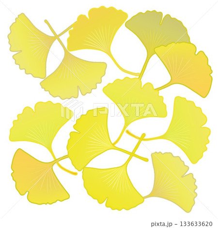 黄色く色づいた銀杏の葉っぱイラスト 133633620