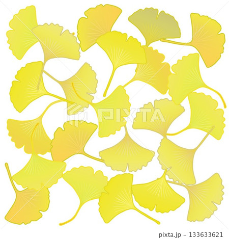 黄色く色づいた銀杏の葉っぱイラスト 133633621