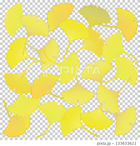 Yellow ginkgo leaf illustration 133633621