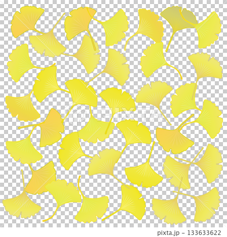 黄色く色づいた銀杏の葉っぱイラスト 133633622