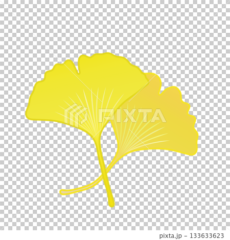 Yellow ginkgo leaf illustration 133633623