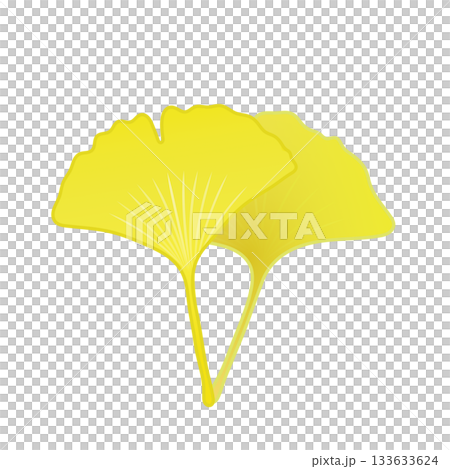 黄色く色づいた銀杏の葉っぱイラスト 133633624