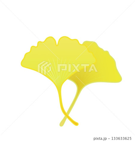 黄色く色づいた銀杏の葉っぱイラスト 133633625