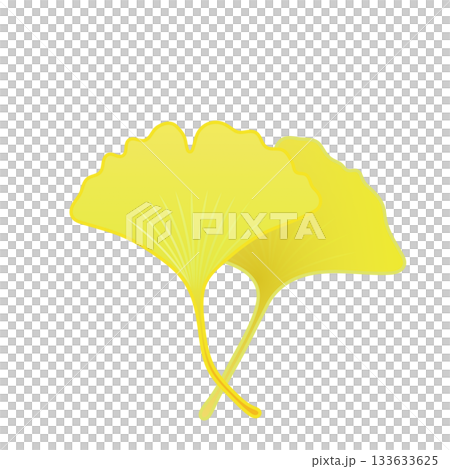 黄色く色づいた銀杏の葉っぱイラスト 133633625
