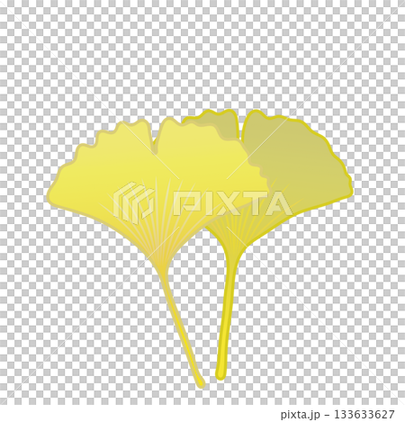Yellow ginkgo leaf illustration 133633627