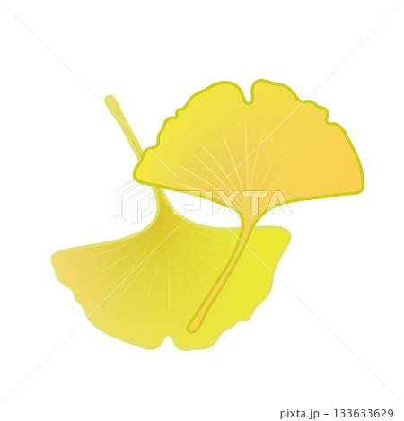 黄色く色づいた銀杏の葉っぱイラスト 133633629
