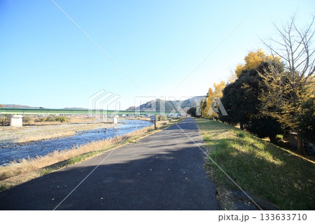 狩野川隣に黄色に染まる秋の公園 狩野川隣に黄色に染まる秋の公園 133633710