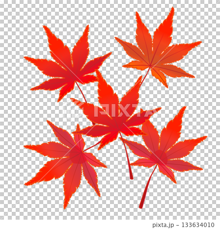 紅葉したモミジの葉っぱイラスト 133634010