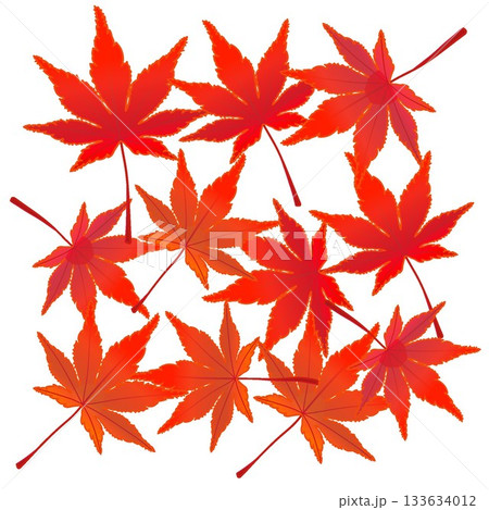 紅葉したモミジの葉っぱイラスト 紅葉したモミジの葉っぱイラスト 133634012