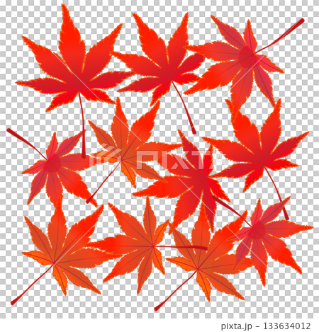紅葉したモミジの葉っぱイラスト 紅葉したモミジの葉っぱイラスト 133634012