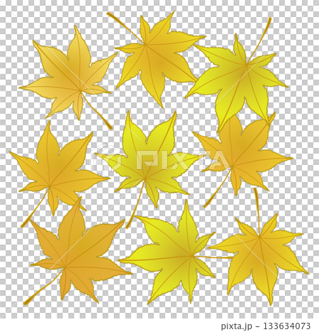 Autumn maple leaf illustration Autumn maple leaf illustration 133634073