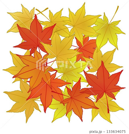 紅葉したモミジの葉っぱイラスト 紅葉したモミジの葉っぱイラスト 133634075