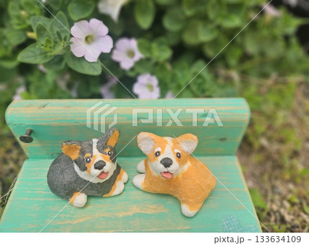 なかよしのコーギーとペチュニア 133634109