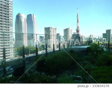 虎ノ門ヒルズステーションタワーから眺める景色 虎ノ門ヒルズステーションタワーから眺める景色 133634170