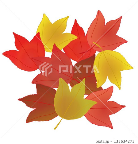 紅葉したカエデの葉っぱイラスト 紅葉したカエデの葉っぱイラスト 133634273