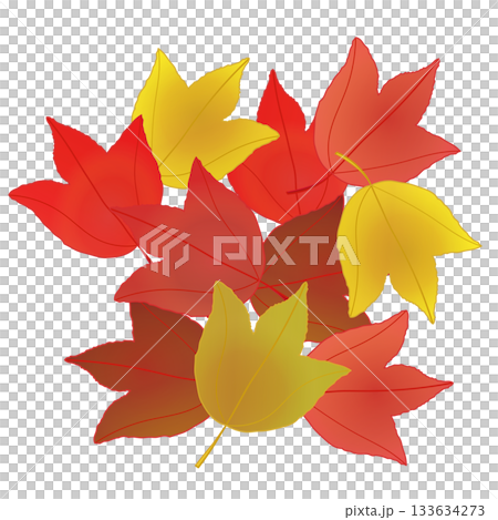 紅葉したカエデの葉っぱイラスト 紅葉したカエデの葉っぱイラスト 133634273