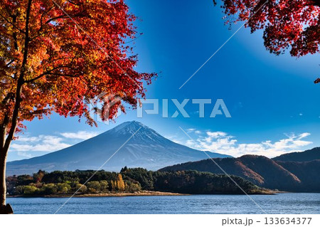 もみじトンネルからの富士山 もみじトンネルからの富士山 133634377