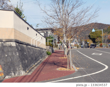 郊外の静けさを感じる日本の住宅街と落葉の歩道 郊外の静けさを感じる日本の住宅街と落葉の歩道 133634537