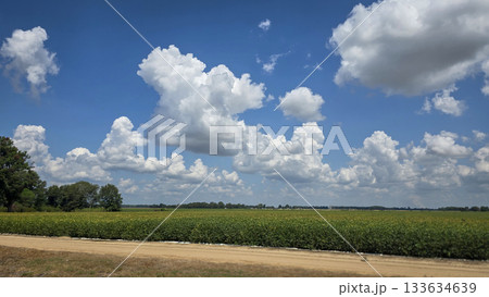 scenic beautiful rural America landscape features a vibrant green field beneath a blue sky dotted with fluffy clouds, bordered by green fast land and distant trees 133634639