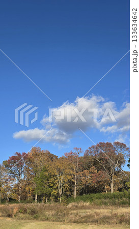 scenic beautiful rural America landscape features a vibrant green field beneath a blue sky dotted with fluffy clouds, bordered by green fast land and distant trees scenic beautiful rural America landscape features a vibrant green field beneath a blue sky dotted with fluffy clouds, bordered by green fast land and distant trees 133634642