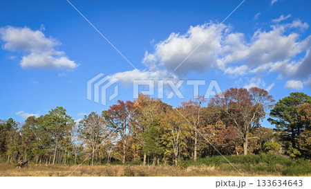 scenic beautiful rural America landscape features a vibrant green field beneath a blue sky dotted with fluffy clouds, bordered by green fast land and distant trees scenic beautiful rural America landscape features a vibrant green field beneath a blue sky dotted with fluffy clouds, bordered by green fast land and distant trees 133634643