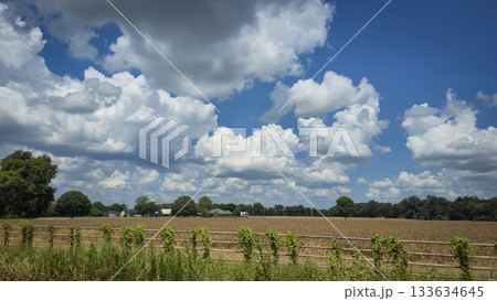 scenic beautiful rural America landscape features a vibrant green field beneath a blue sky dotted with fluffy clouds, bordered by green fast land and distant trees scenic beautiful rural America landscape features a vibrant green field beneath a blue sky dotted with fluffy clouds, bordered by green fast land and distant trees 133634645