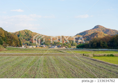 農村の風景 農村の風景 133634762