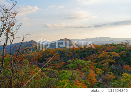 北摂の里山で見る紅葉 133634846