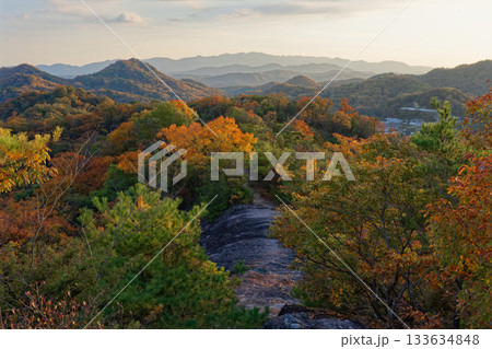 北摂の里山で見る紅葉 133634848