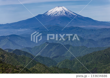 丹沢・塔ノ岳から見る新緑の山並みと残雪の富士山 丹沢・塔ノ岳から見る新緑の山並みと残雪の富士山 133634886