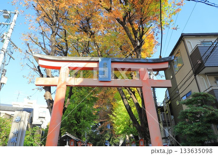 赤城神社 大鳥居 新宿区赤城元町 赤城神社 大鳥居 新宿区赤城元町 133635098