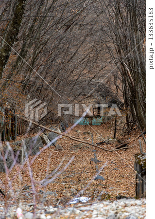 〈栃木県〉日光 明智平の旧ケーブルカーの線路跡 〈栃木県〉日光 明智平の旧ケーブルカーの線路跡 133635183