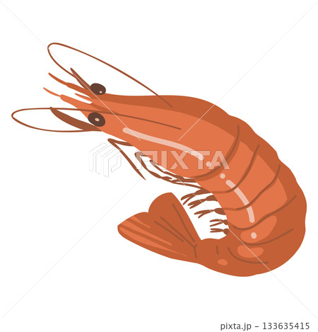 エビのイラスト エビのイラスト 133635415