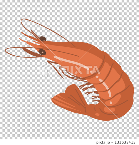 エビのイラスト エビのイラスト 133635415