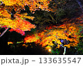 広島県三次市尾関山公園の紅葉ライトアップ 133635547