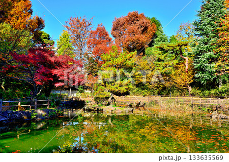都心にある快適な空間　水車のある鍋島松濤公園の紅葉 133635569