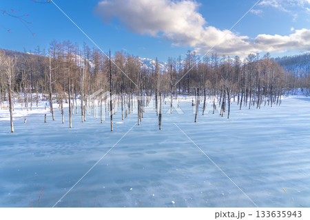 北海道の冬絶景　冬の晴れた日の青い池 133635943