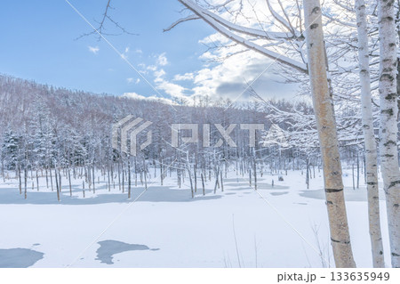 北海道の冬絶景 冬の晴れた日の青い池 北海道の冬絶景 冬の晴れた日の青い池 133635949