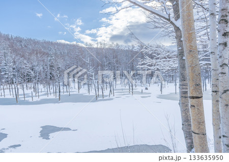 北海道の冬絶景 冬の晴れた日の青い池 北海道の冬絶景 冬の晴れた日の青い池 133635950