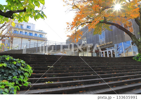 AKOMEYA TOKYO in la Kagu （あこめや　東京） 133635991