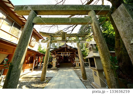 京都府　伏見稲荷大社　伏見神宝神社 拝殿　京都市伏見区深草藪之内町　2022 年 2月 133636259